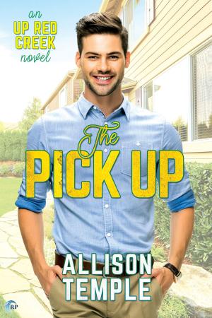Cover of the book The Pick Up by Cornelia Grey