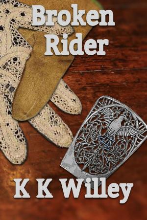 Cover of the book Broken Rider by Janelle Samara