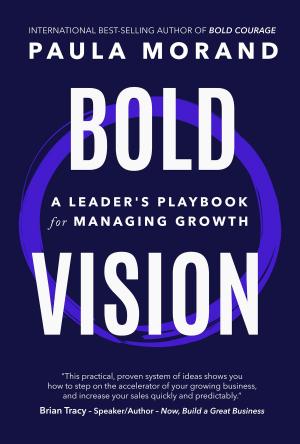 Cover of Bold Vision