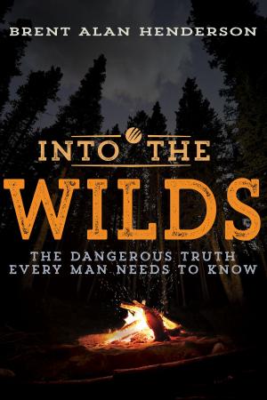 Cover of the book Into the Wilds by Saint Augustine