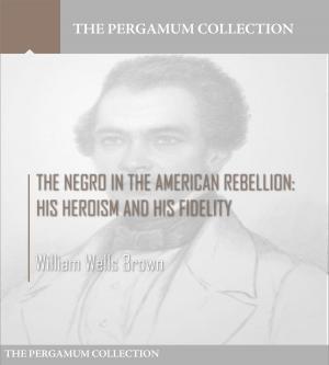 Cover of the book The Negro in the American Rebellion: His Heroism and His Fidelity by Charles River Editors