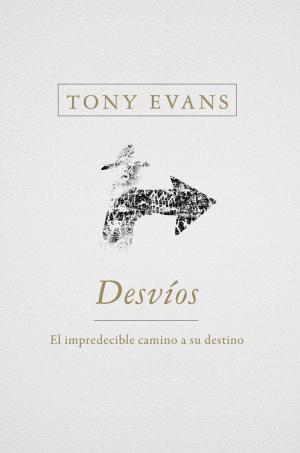 Cover of the book Desvíos/Detours by Reinhard Bonnke