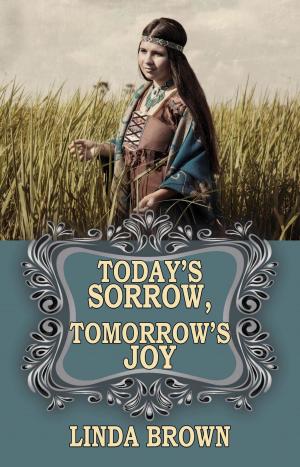 bigCover of the book Today's Sorrow, Tomorrow's Joy by 