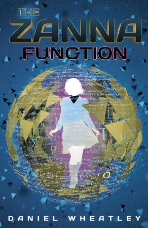 Cover of the book The Zanna Function by Helene Dunbar