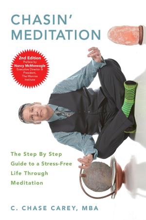 Cover of the book Chasin' Meditation by Lee Hillberg