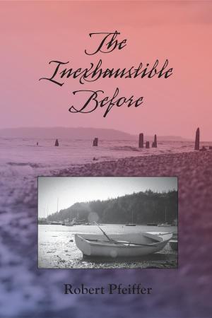 Cover of the book The Inexhaustible Before by Shameeka Williams