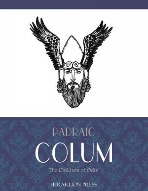 Book cover of The Children of Odin