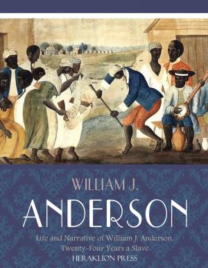 Cover of the book Life and Narrative of William J. Anderson, Twenty-Four Years a Slave by Nathaniel Hawthorne