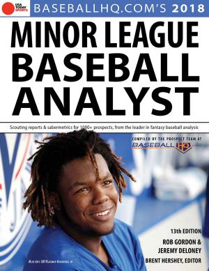 Book cover of 2018 Minor League Baseball Analyst