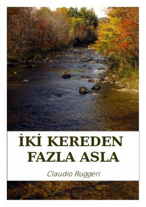 Cover of the book İki Kereden Fazla Asla by A.P. Hernández