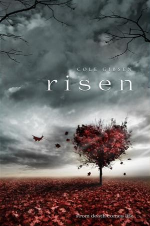 Cover of the book Risen by Robin Bielman