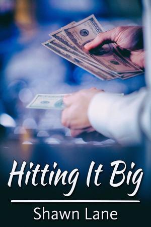 Cover of the book Hitting It Big by Meg Collett