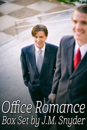 Cover of the book Office Romance Box Set by Jen McLaughlin