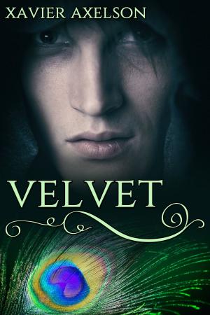 Cover of the book Velvet by Naomi Rawlings