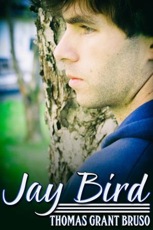 Cover of the book Jay Bird by J.M. Snyder