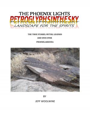 Cover of the book The Phoenix Lights- Petroglyphsinthesky (Landscapes for the Spirits) by Petrus de Klerk