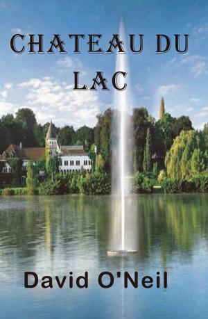 Cover of the book Château du Lac by Ann McDeed