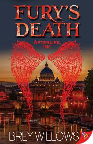 Cover of the book Fury’s Death by Ali Vali