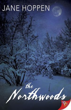 Cover of the book The Northwoods by Jess Faraday