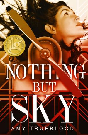 Cover of the book Nothing But Sky by Chelsea Pitcher