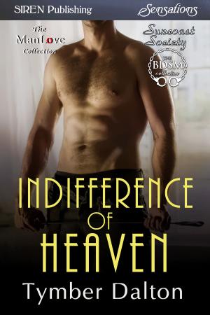Cover of the book Indifference of Heaven by Taylor Brooks