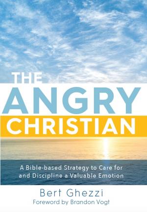 Cover of the book The Angry Christian by Fr. John-Julian Swanson