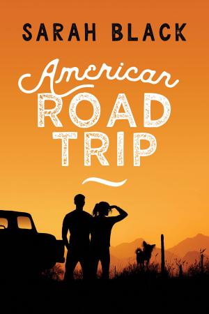 Book cover of American Road Trip