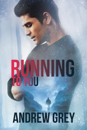 Cover of the book Running to You by Astor Penn