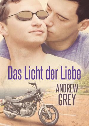 Cover of the book Das Licht der Liebe by Marie Sexton