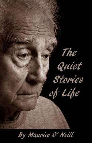 bigCover of the book Quiet Stories Of Life by 