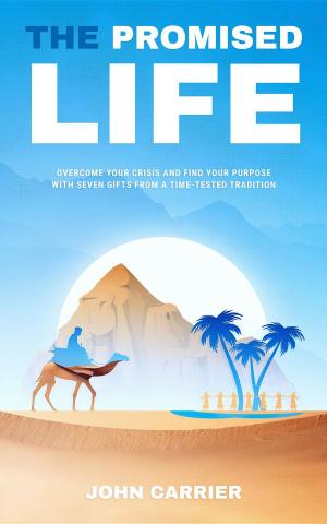 Book cover of The Promised Life