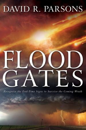 Book cover of Floodgates