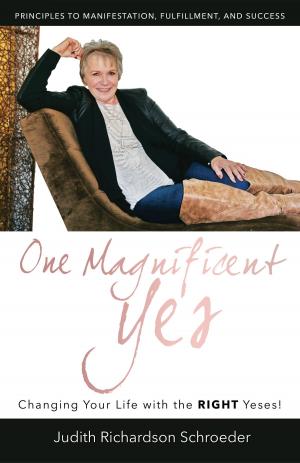 Cover of the book One Magnificent Yes! by Andrew Dettore, Terry O. Scott