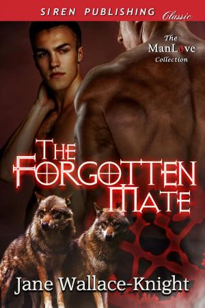 Cover of the book The Forgotten Mate by Paola Ramos