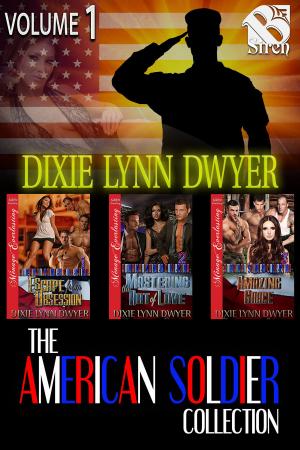 Cover of the book The American Soldier Collection, Volume 1 by Rayna Stone