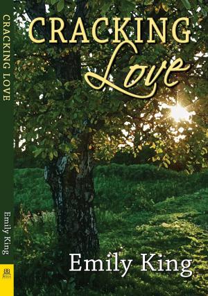 Cover of the book Cracking Love by MB Panichi