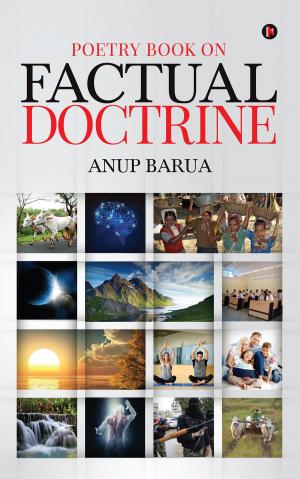 Cover of the book Poetry Book On Factual Doctrine by José Luis Giménez-Frontín