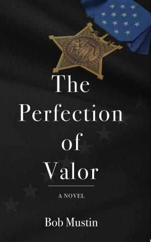 Book cover of The Perfection of Valor