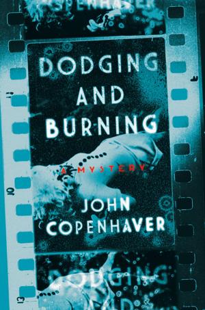 Cover of the book Dodging and Burning: A Mystery by Christianna Brand