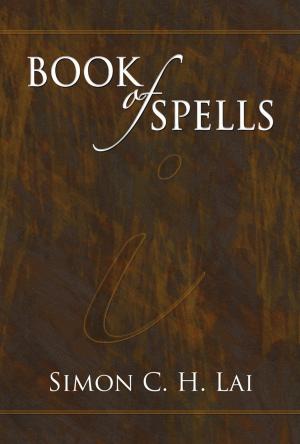 Cover of the book Book of Spells by Bruce Wilson