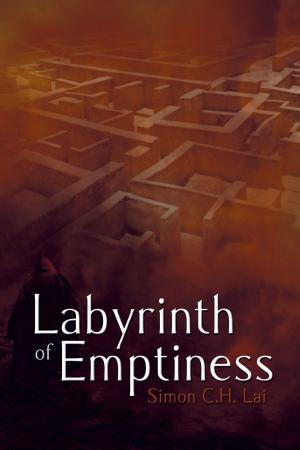 Book cover of Labyrinth of Emptiness