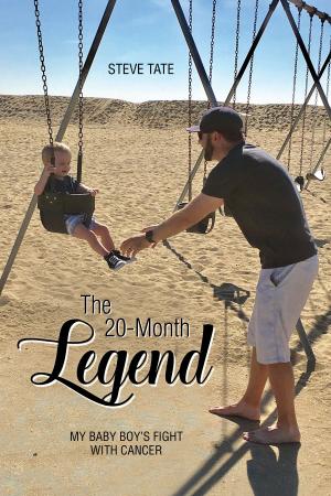 Cover of the book The 20-Month Legend by Vicente Fox, Sulay Hernandez