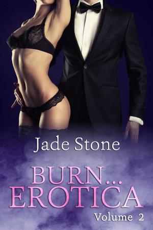 Book cover of Burn . . . Erotica Volume 2