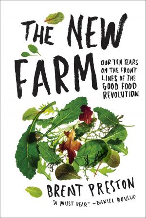 Cover of the book The New Farm by Andrea Beaty