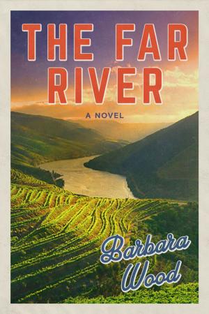 Book cover of The Far River
