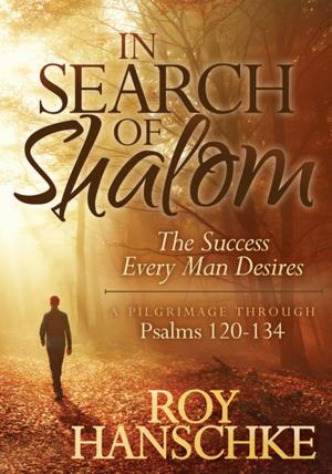Cover of the book In Search of Shalom by Ginny Clarke