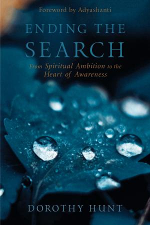 Cover of the book Ending the Search by Edward Tick, PhD