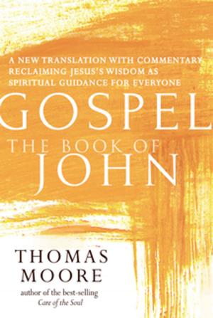 Book cover of Gospel—The Book of John