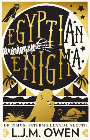 Cover of the book Egyptian Enigma: Dr Pimms, Intermillennial Sleuth by Col Bailey