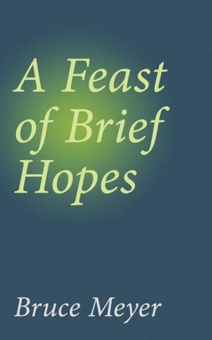 Cover of the book A Feast of Brief Hopes by Daniel Perry